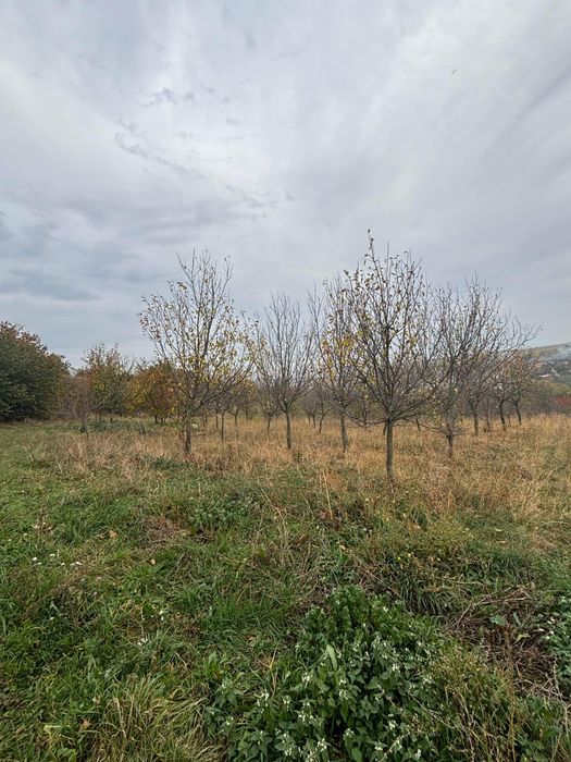 Teren intravilan de vânzare sat Comsesti, comuna Tureni, Jud Cluj