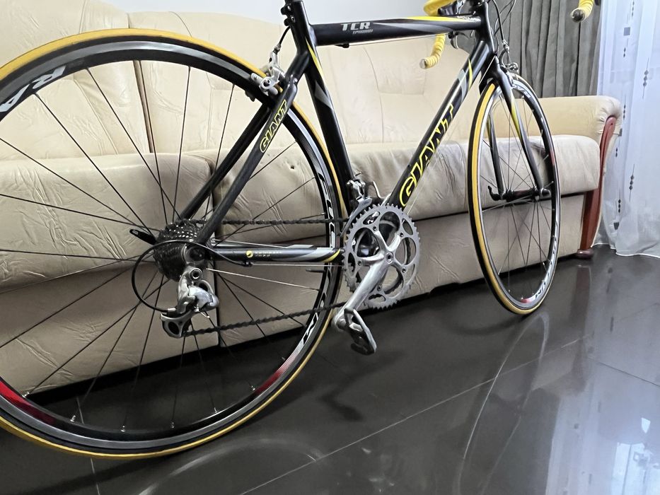 Cursiera Giant TCR hybrid