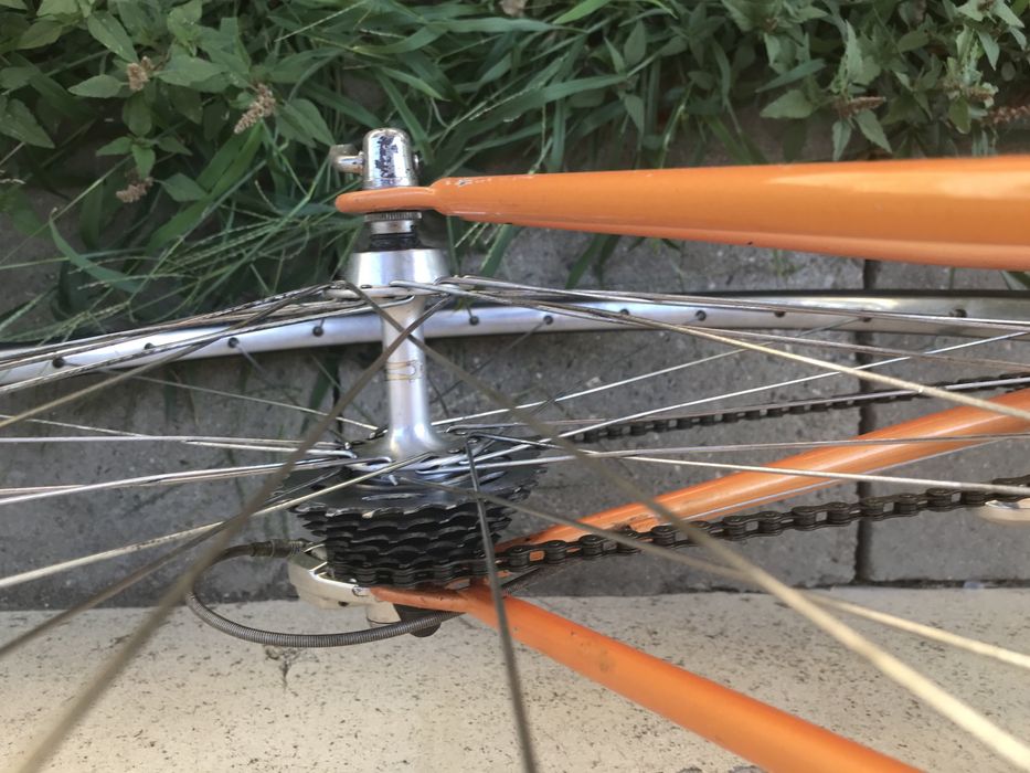 Cursiera Koga Miyata