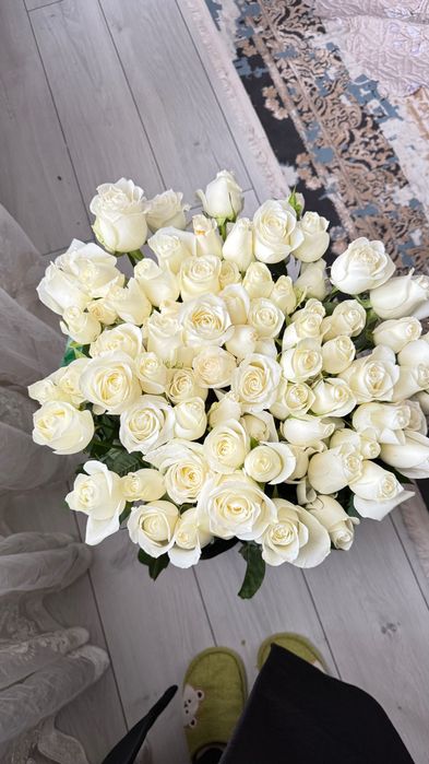 Белые розы цветы