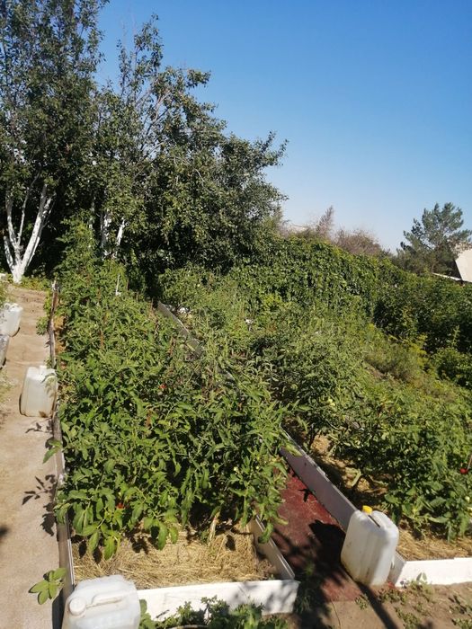 Продам дачу СК "Спартак"