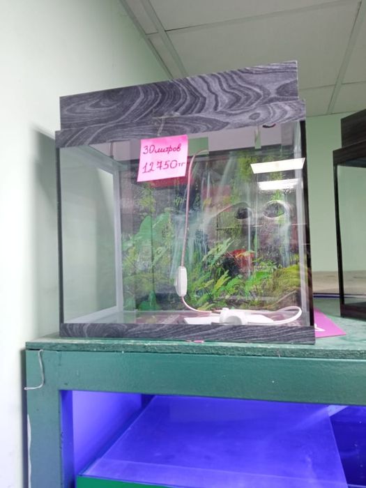 Аквариумы, фильтры, рыбки