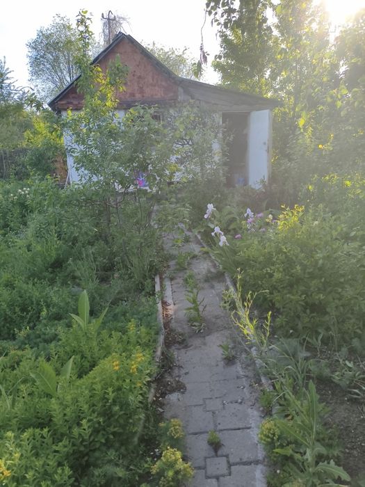 Продам дачу на Кривом Озере