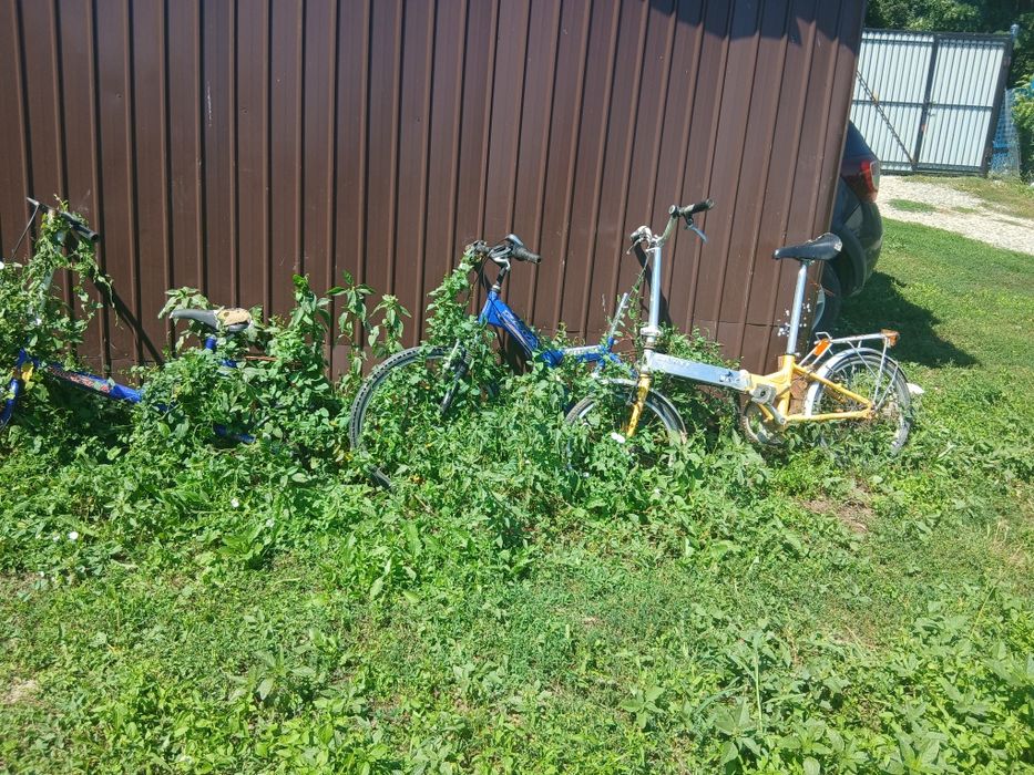 Biciclete 250 pret neg