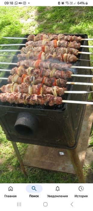 Шашлыки на мангале