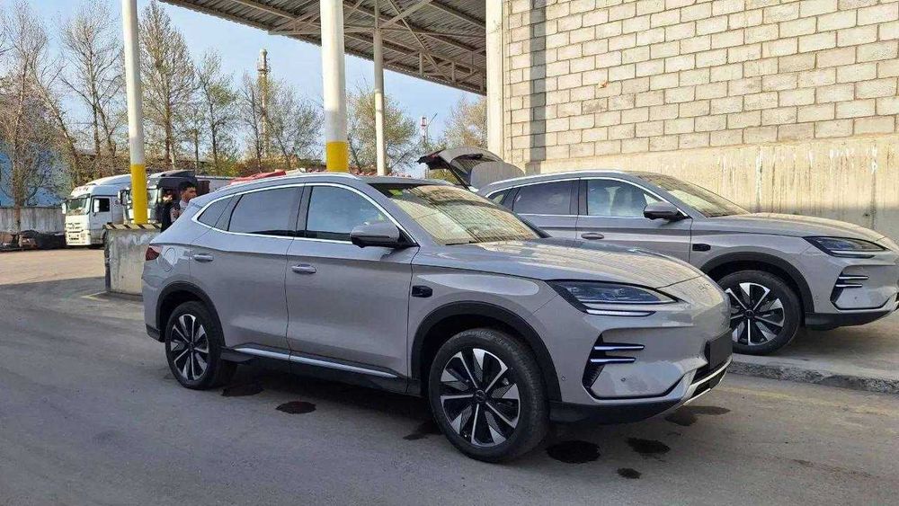 BYD chempion ulgurib qolamz