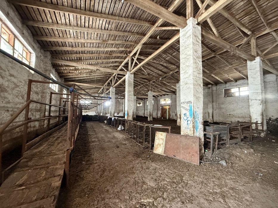 Продам крестьянское хозяйство