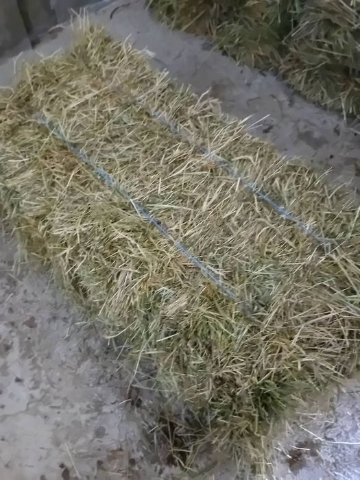 Бали сено и люцерна