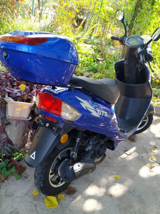 Peda gts 80cc