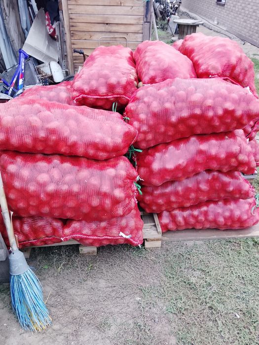 продам картофель