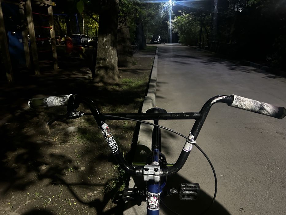 BMX king Curb (2023)