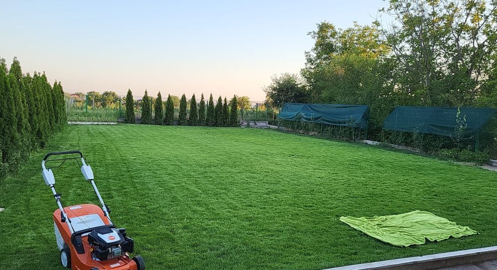 Amenajări & Întreținere Grădini Craiova, Gazon,Sisteme irigatii