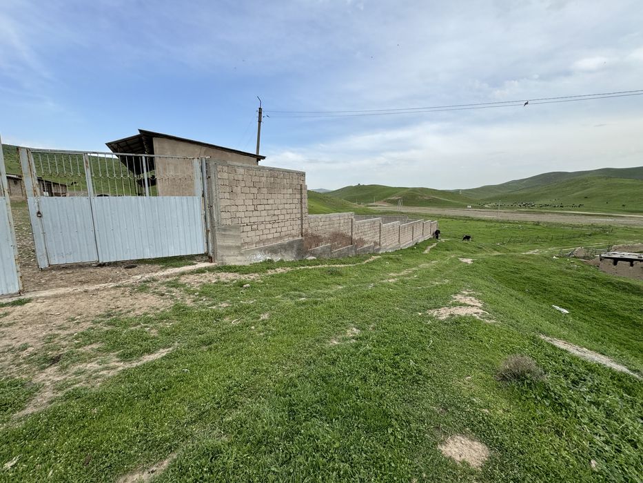 Ferma-kora sotiladi...