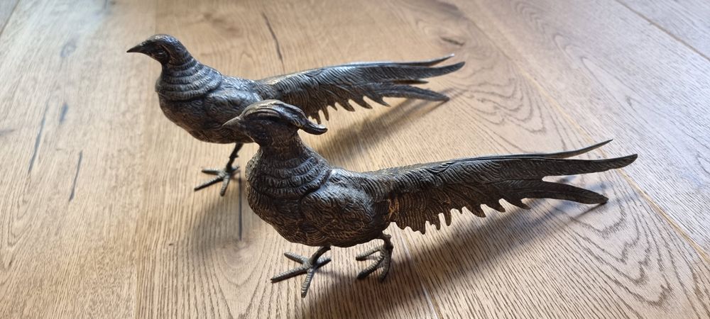 Бронзови фазани , мъжки и женски