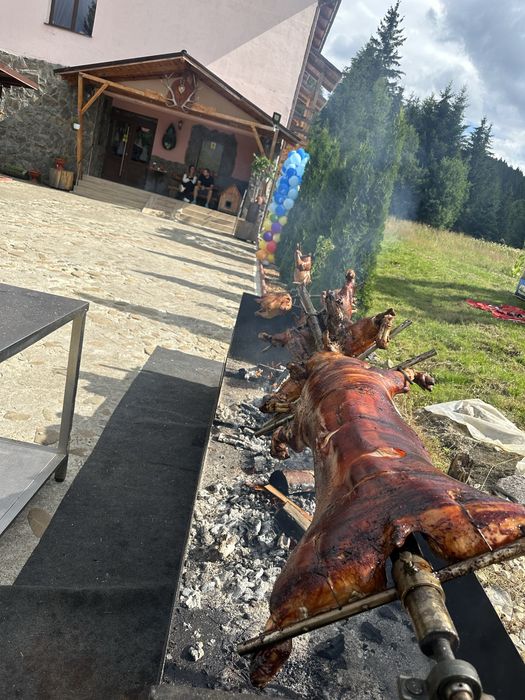 , porc , berbec , vitel , toate facute la protap!