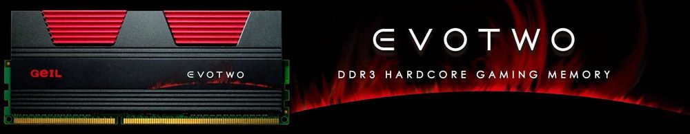 RAM 16GB 2x8gb GeIL Evo Two 1333Mhz DDR3 за компютър