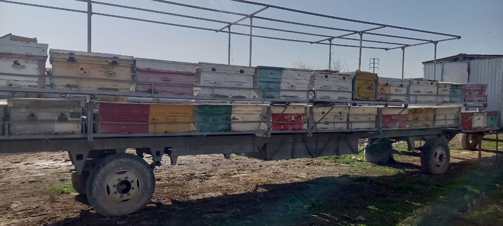 Пчелоприцеп бизнес