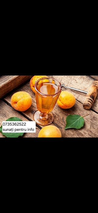 Vând caise dulci pentru țuică – Recoltă proaspătă