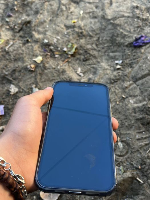 Iphone 12 pro max
