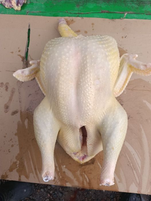 Продаются тушки индюков