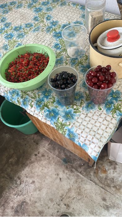 Продам дачу сад Здоровие