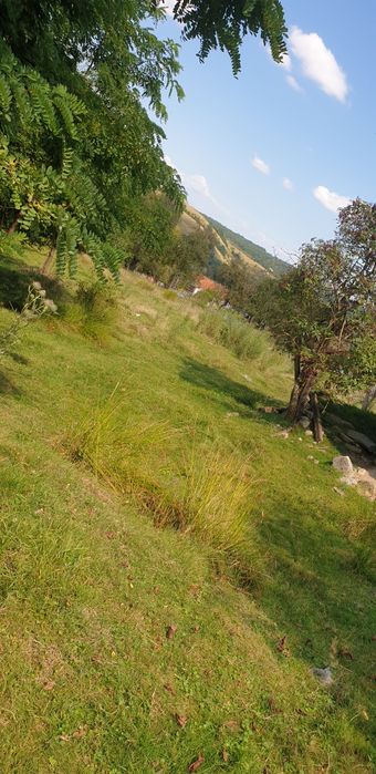 VAND/SCHIMB teren intravilan in com. Ezeris, Jud. Caras-Severin