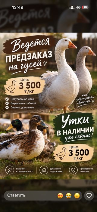 Продам гусят и утят