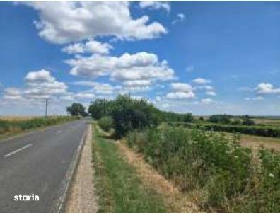 Teren Extravilan cota parte 3/16, Prundu, ID: R3316920