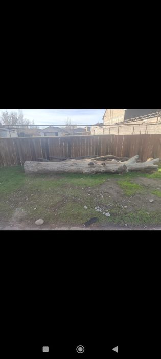 Продам дуб дерево