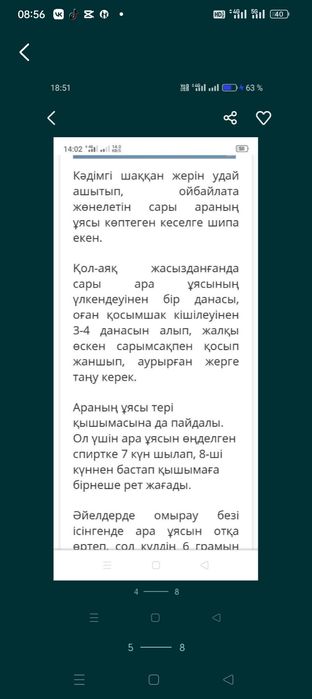 Продам настоящие Осиное гнездо