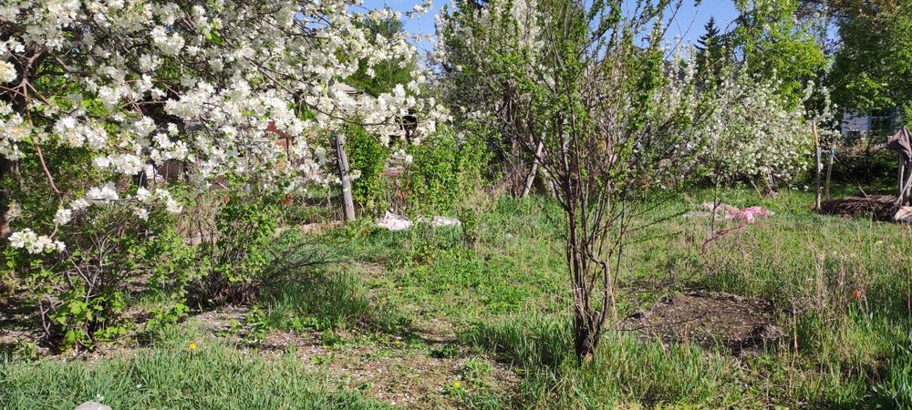 Продам дом: 3 комнаты и кухня