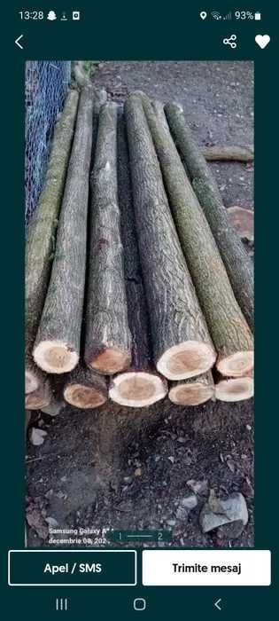 Vând pari de salcâm