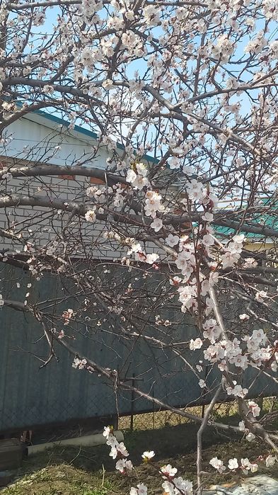 Продам дом район Келещек,Заречный 2