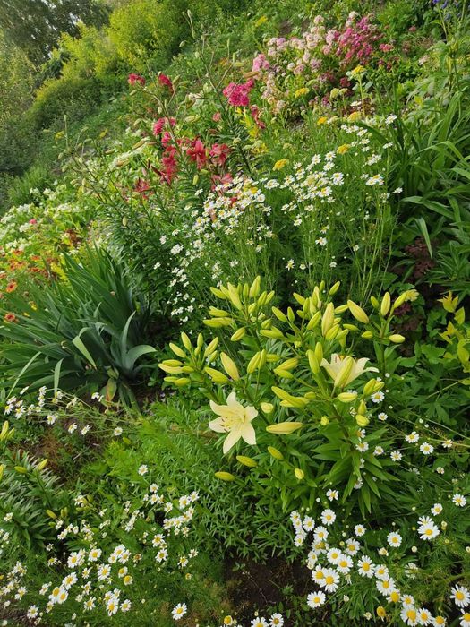 Продажа уютной дачи!