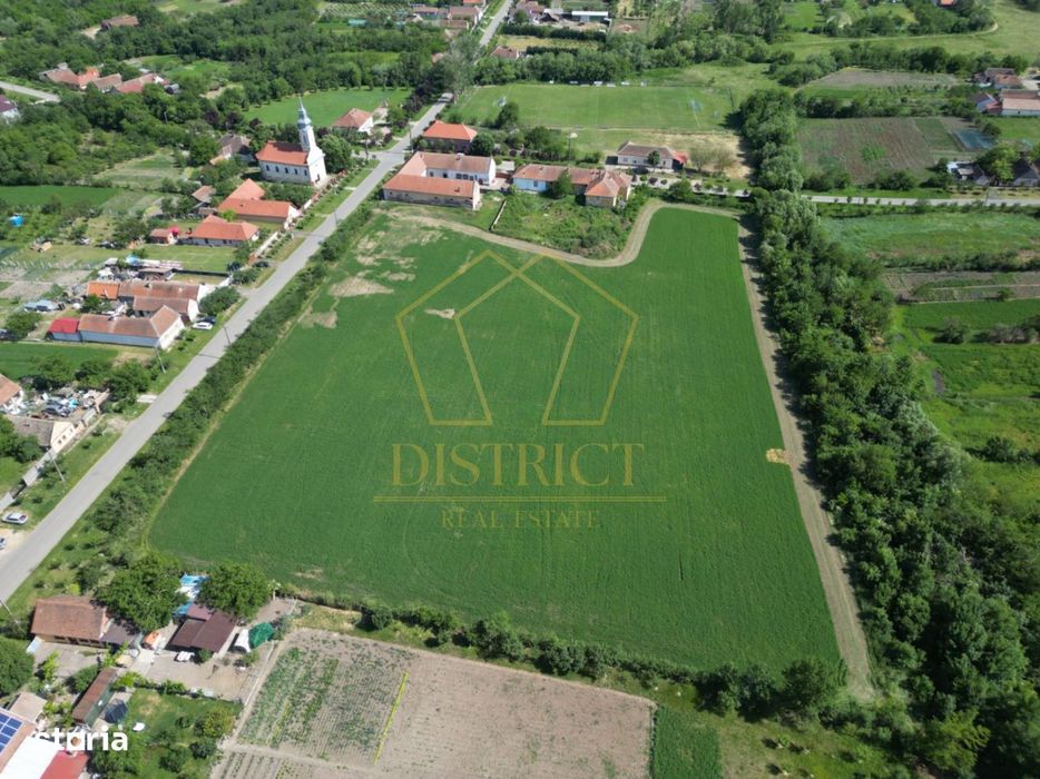 Teren de 1.6ha ideal pentru dezvoltare rezidentiala sau proiect turist