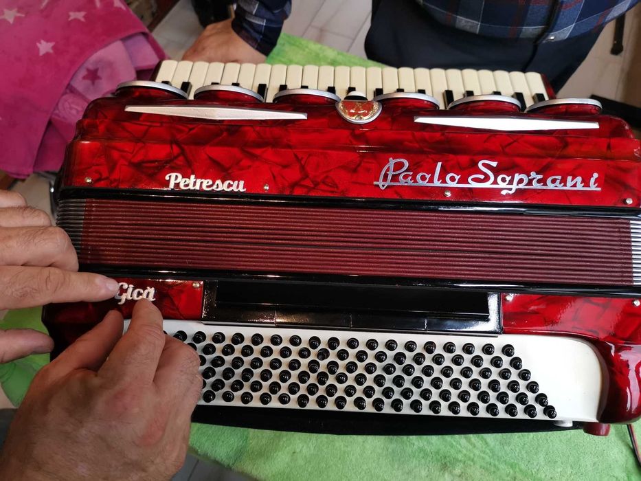 Personalizari Acordeoane Acustice