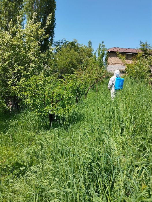 Йер сотилади 16 сотих