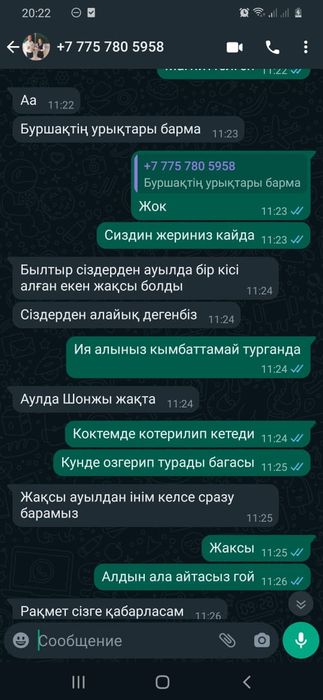 Семена люцерно  жонышка урыгы