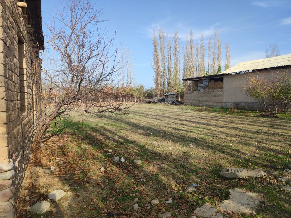 Дала ховли сотилади