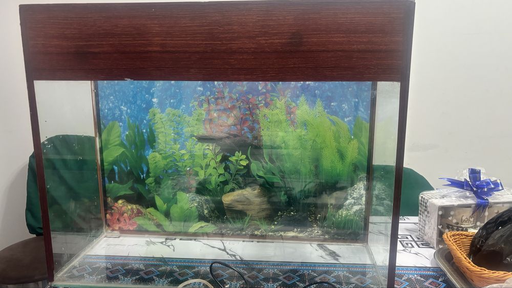 Продам аквариум 80лт.
