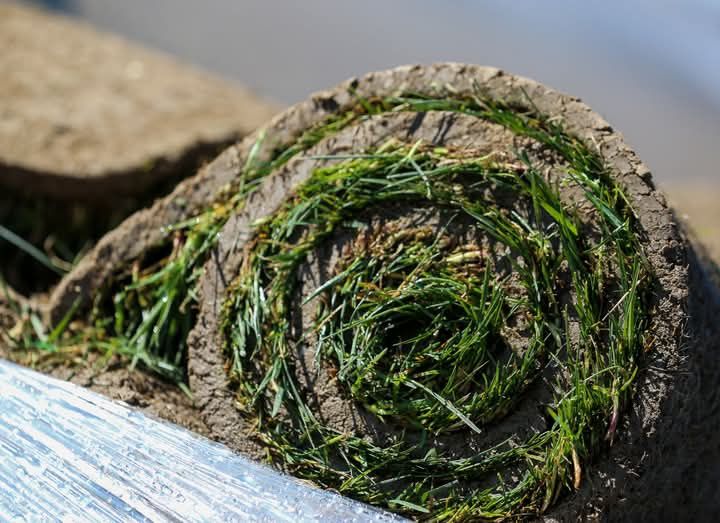 Gazon rulou și sistem de irigatii