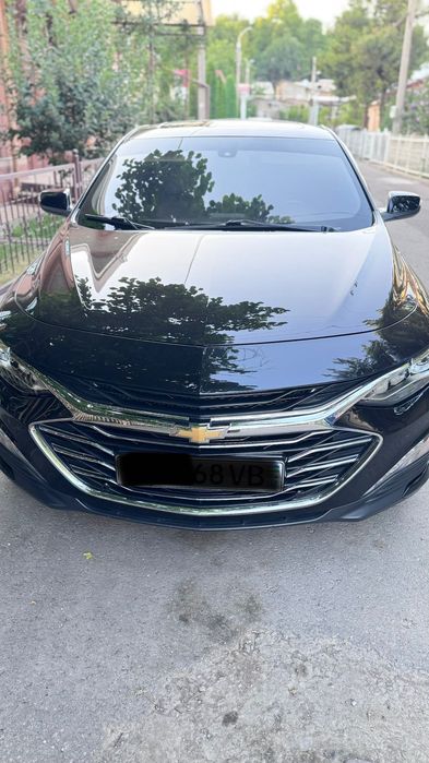 Malibu 2 primier