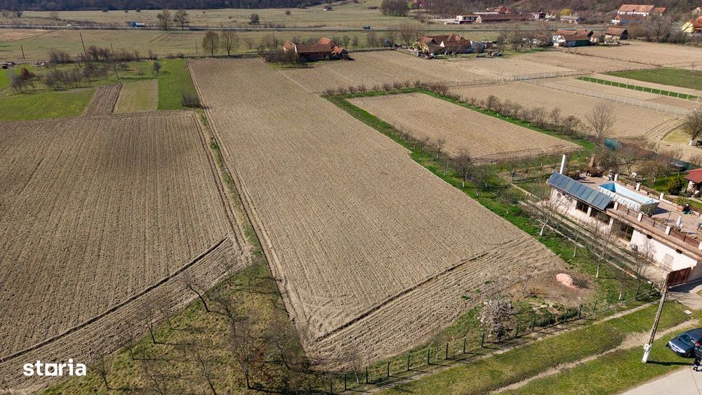 Loc de casă în Odvoș - Conop 3000mp