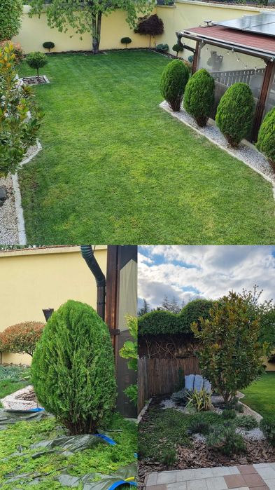 Întreținere Grădini: Tuns Gazon, Gard Viu, Toaletare Pomi & Curățenie Generală