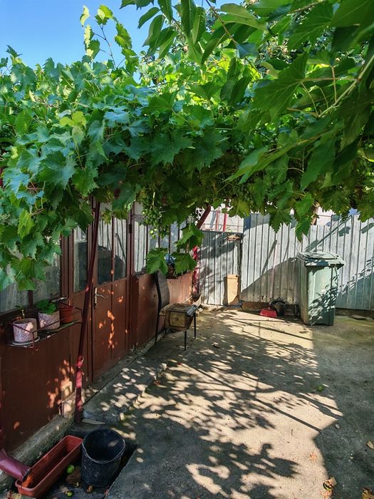 Casă 3 camere de închiriat | Zonă Gară - Parcul Bălcescu, Focșani (Direct Proprietar)