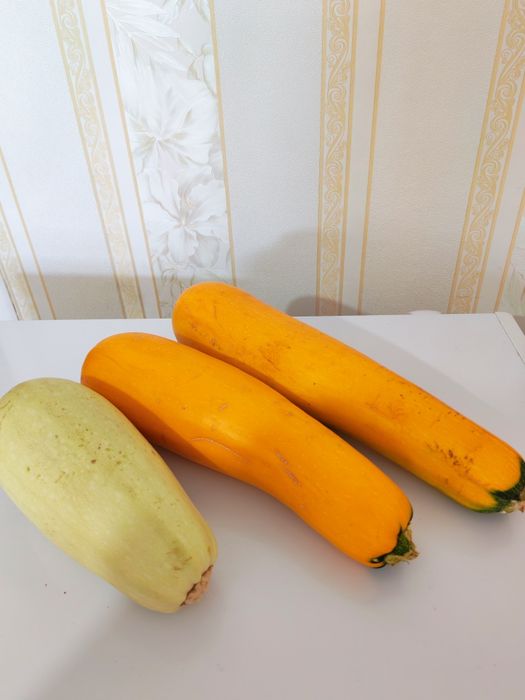Продаю кабачки и тыкву