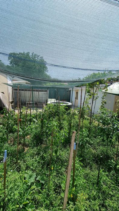 Casa de vanzare Tecuci