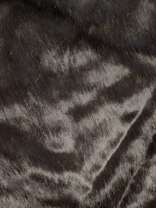 Килим от Телешка кожа 3 кв.м