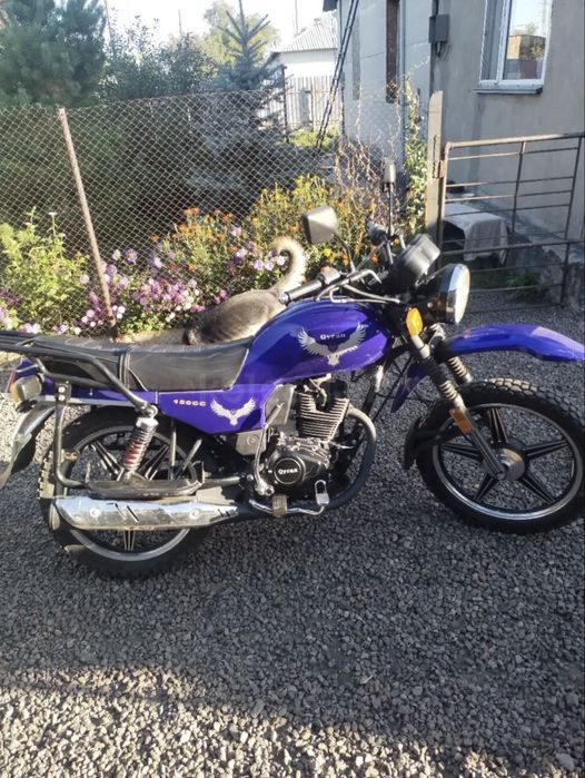 Мотоцикл Qyran 150