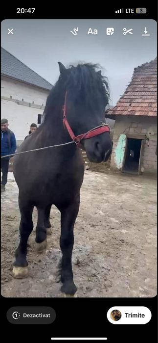 Vand manz de 1 jumate